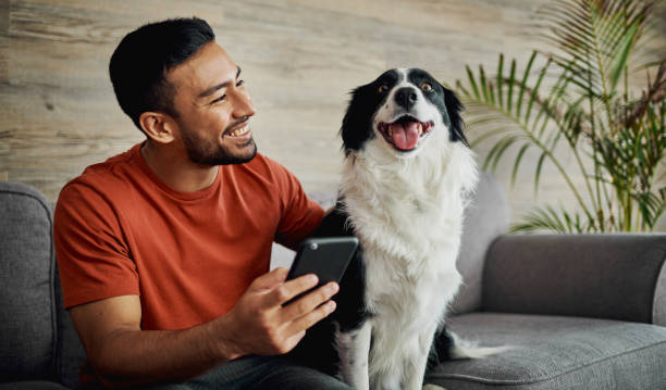 A dog relaxing on the couch with its owner