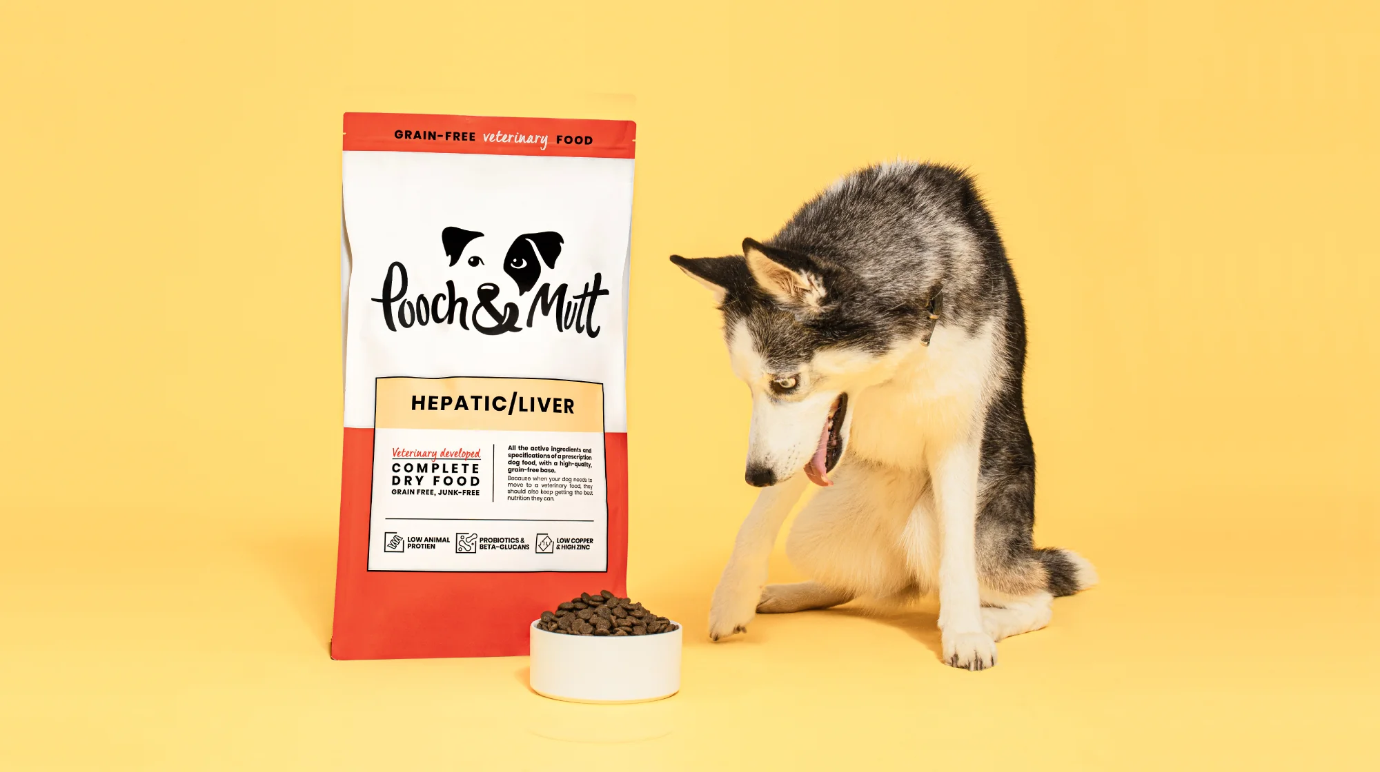 High-quality commercial dog food is a great foundation for lactation