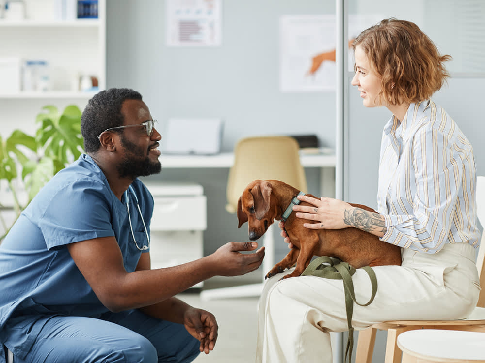 See your doctor when your dog is a picky eater