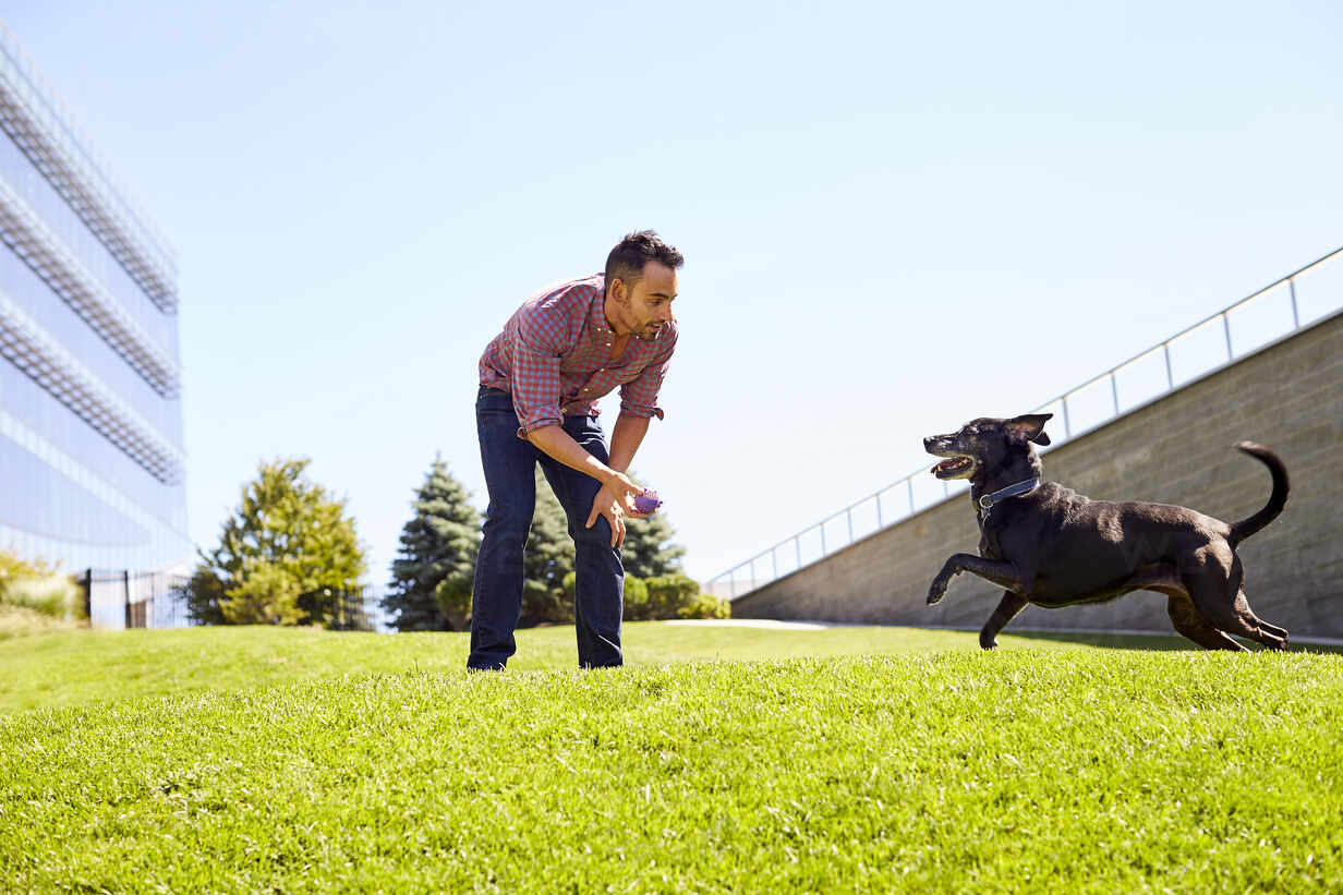 Playtime with dog can reduce stress