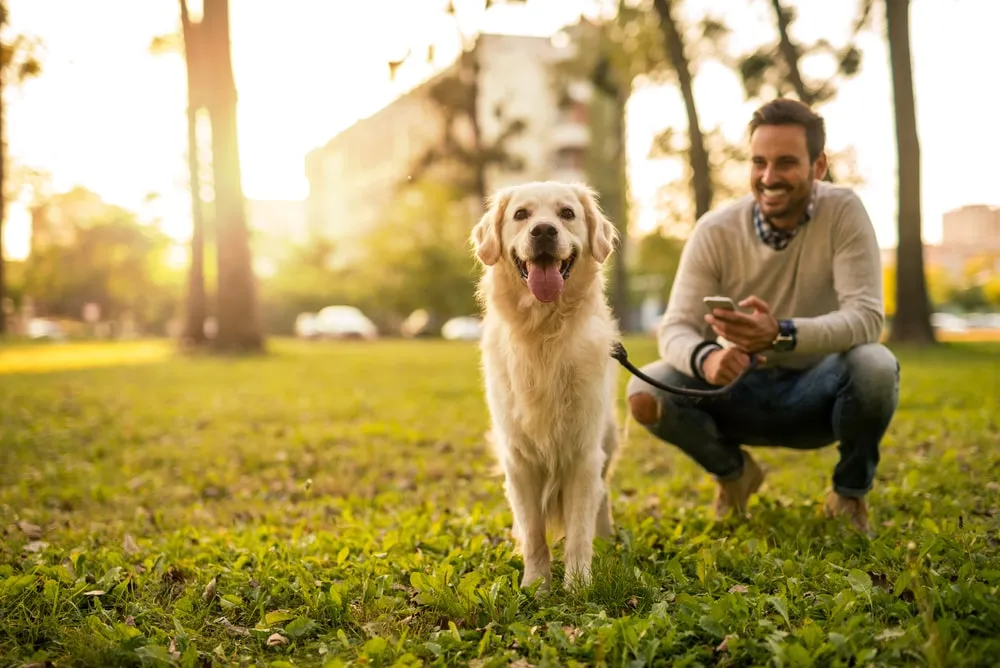 Dog shows loyalty by going with you everywhere