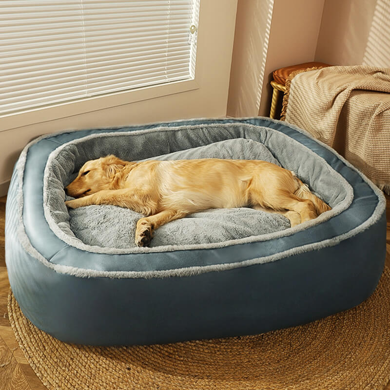 Provide a cozy bed for your dogs