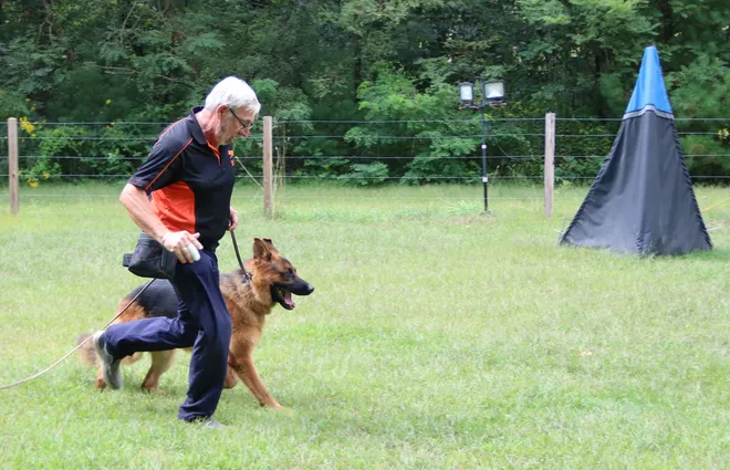 Teaching dogs to protect certain areas