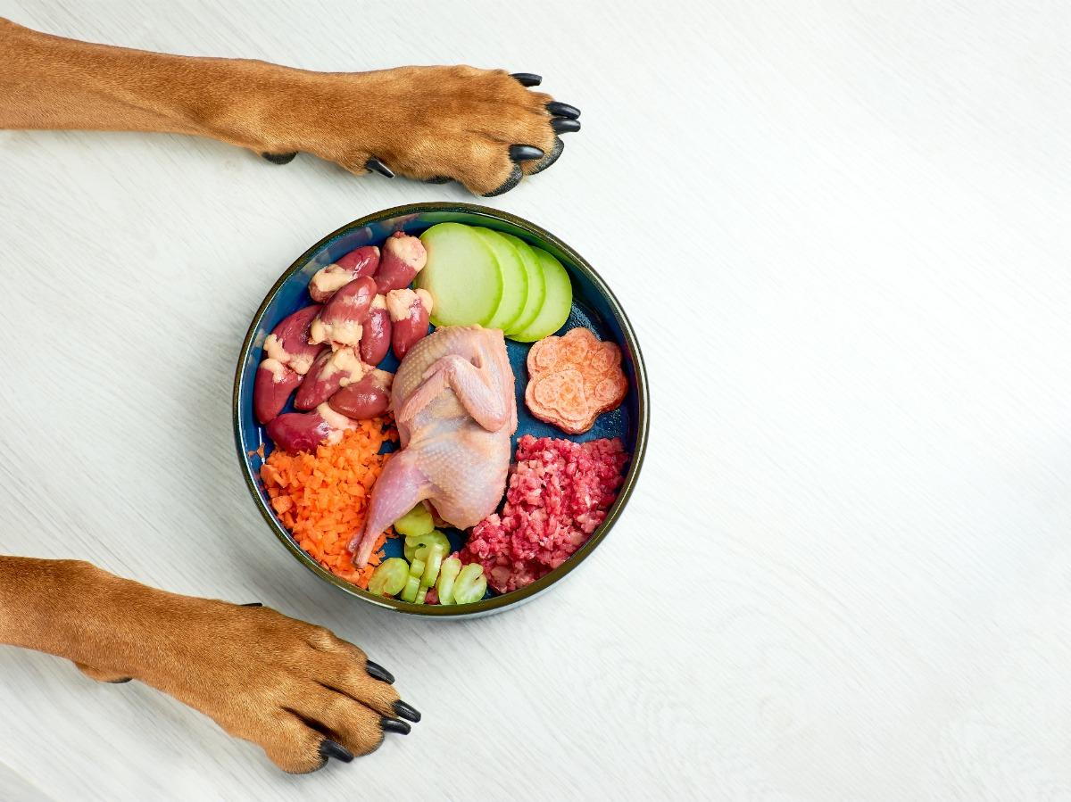 Portion control for dog