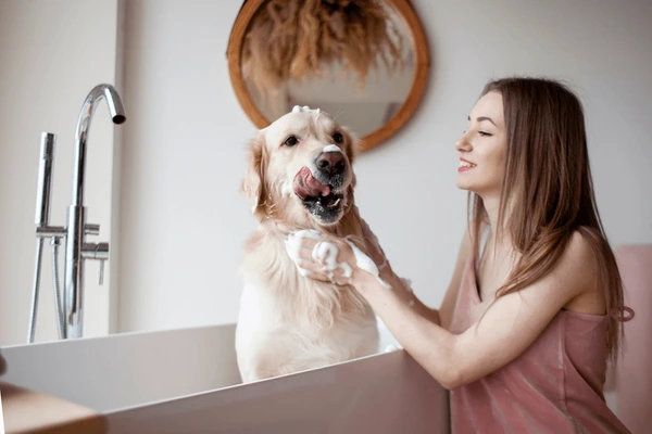 Bathing is extremely important for dogs