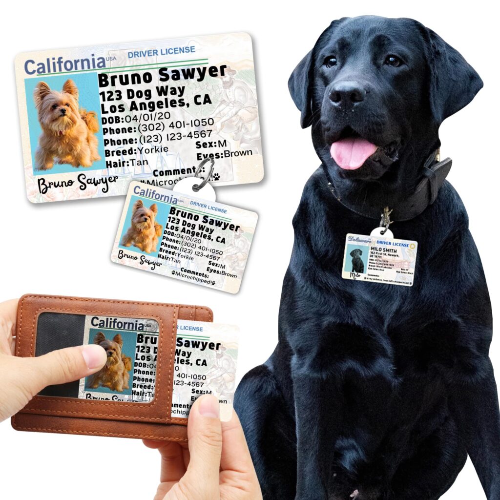 Update your dog's ID after major events