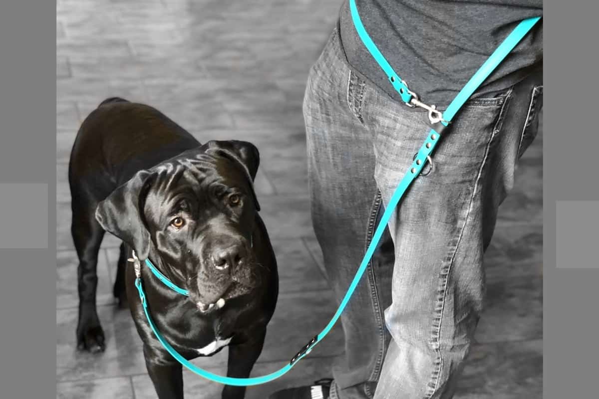 Adjustable Leashes can be used for more comfort