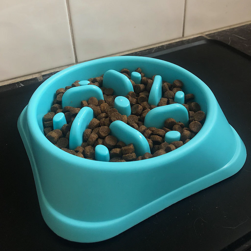 Slow-feeder dog bowl