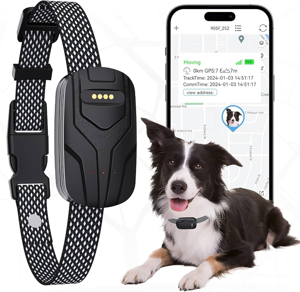 Smart collar can track dog's location 24/7